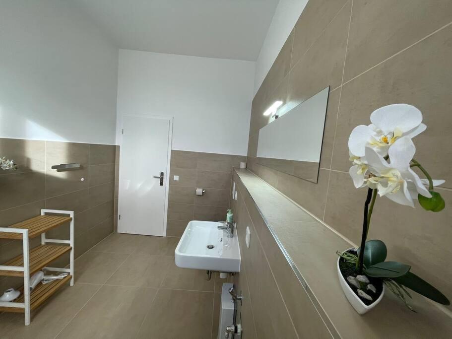 Lucky Stays Ls10 - Vollausstattung - Zentrum - Aufzug - Grosse Kueche - 2 Zimmer - Smart-Tv 马格德堡 外观 照片